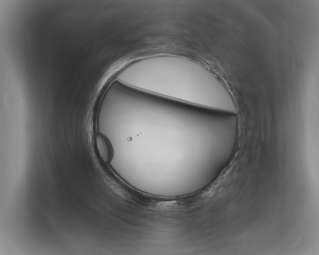 X0000110930054200906181204