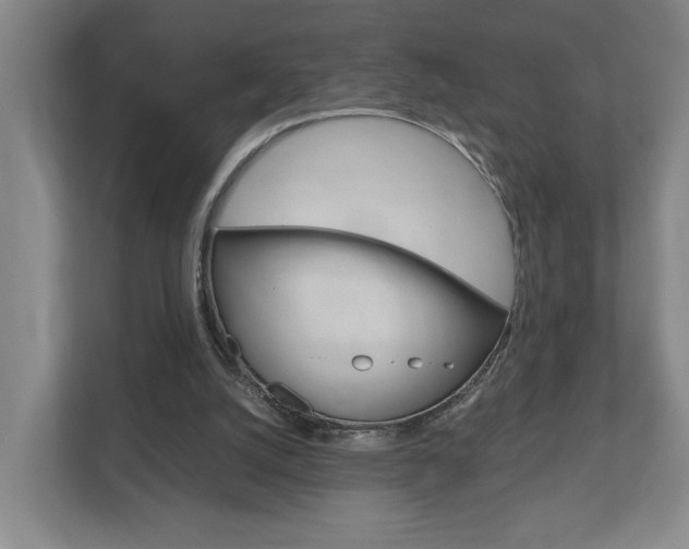 X0000110930056200906181204