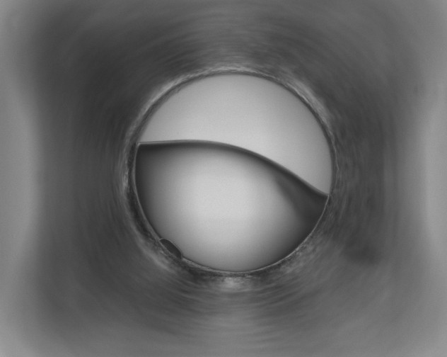 X0000110930060200906181204