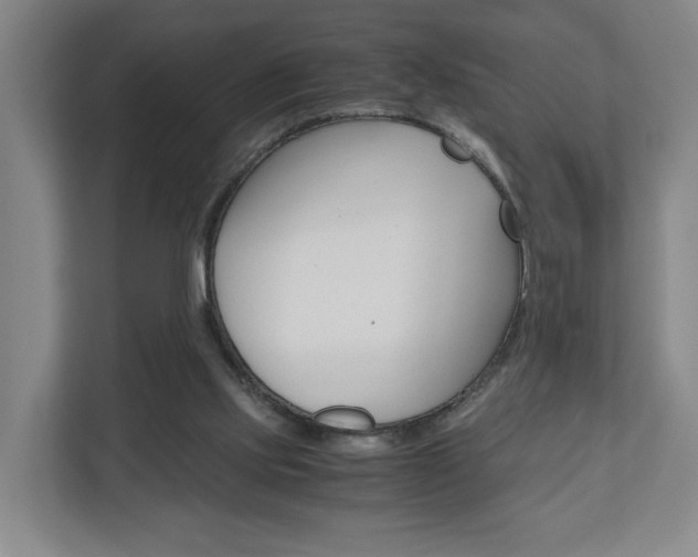 X0000110930061200906181204