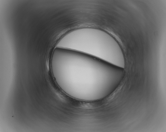 X0000110930062200906181204