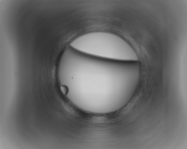 X0000110930066200906181204