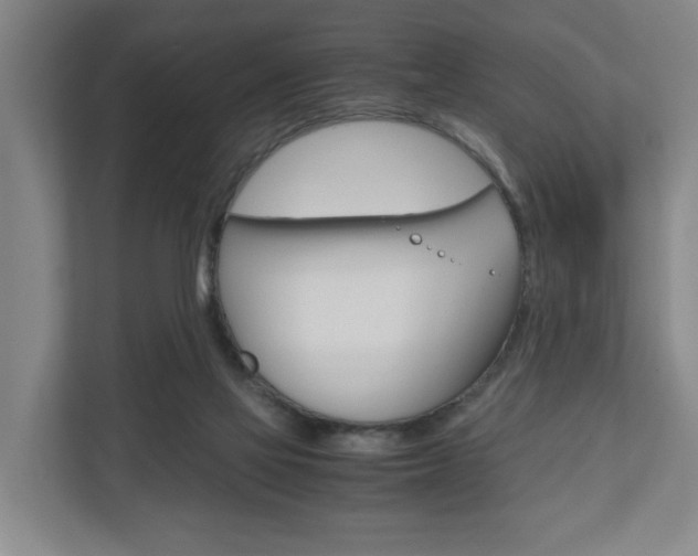X0000110930069200906181204