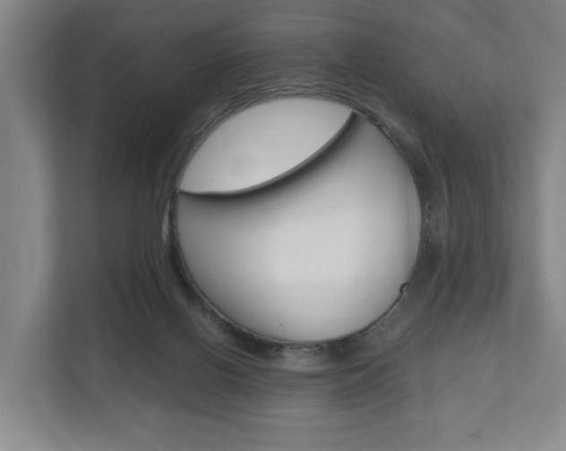 X0000110930070200906181204
