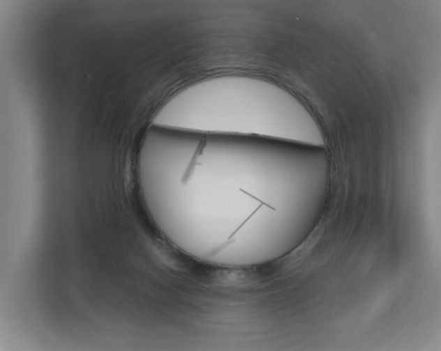 X0000110930074200906181204