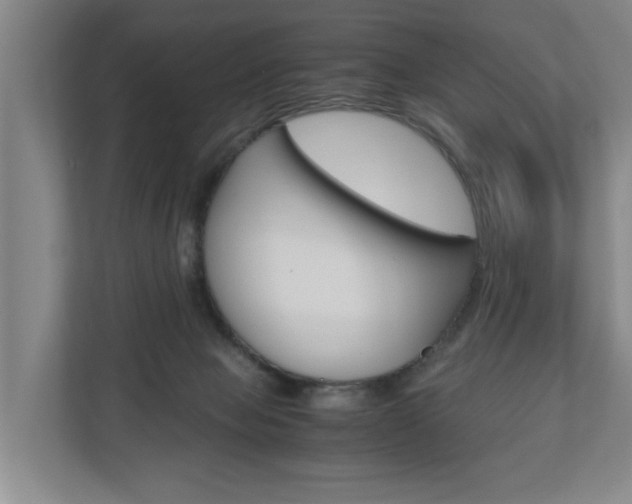X0000110930077200906181204