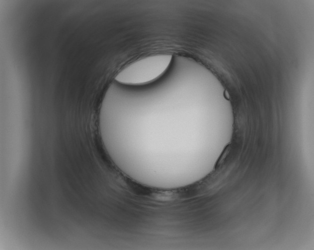 X0000110930079200906181204