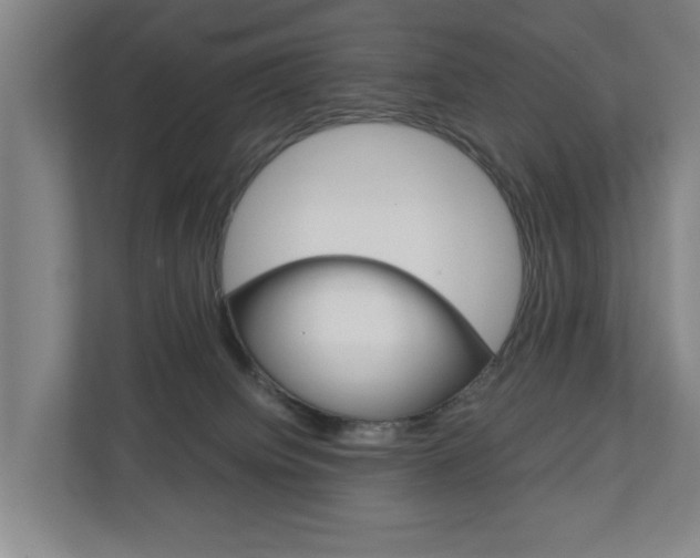 X0000110930084200906181204