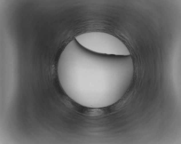 X0000110930087200906181204