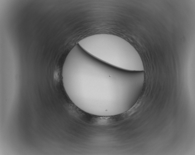 X0000110930090200906181204