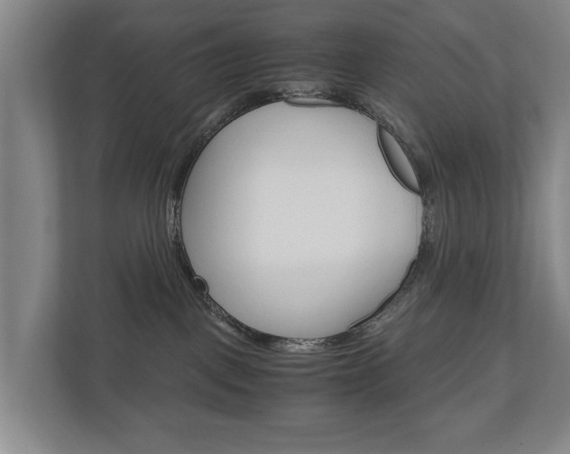 X0000110930093200906181204