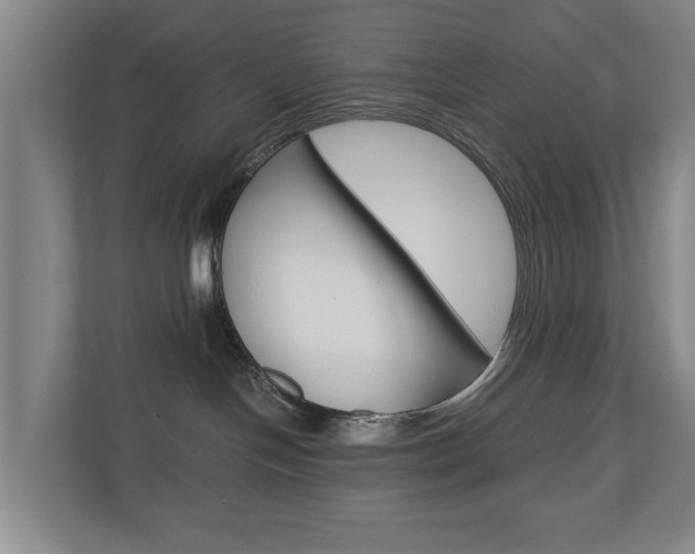 X0000110930094200906181204