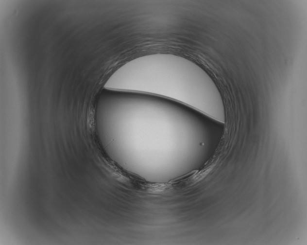 X0000110930096200906181204