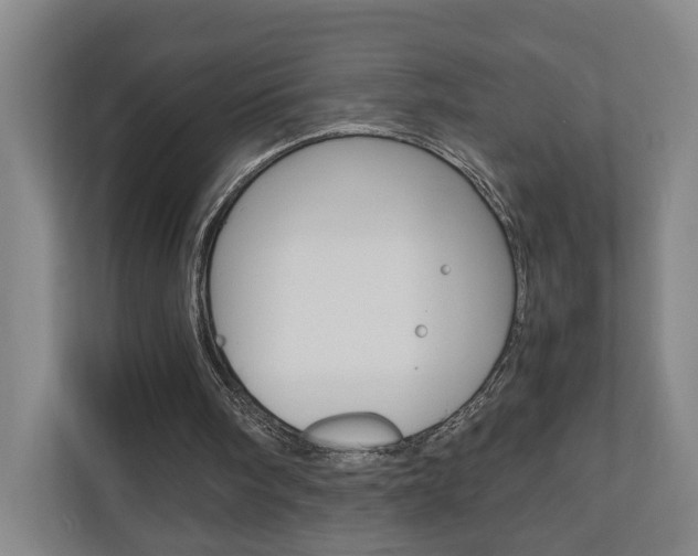 X0000110930098200906181204
