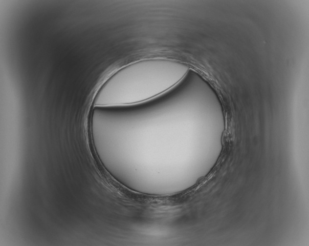 X0000110930099200906181204
