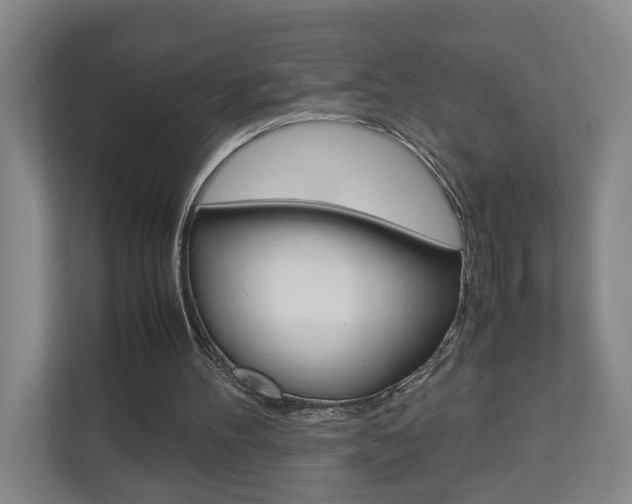 X0000110930100200906181204