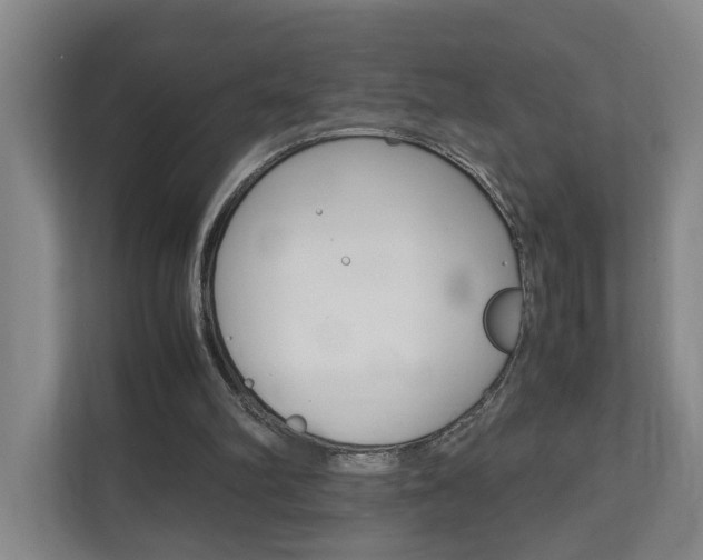 X0000110930102200906181204