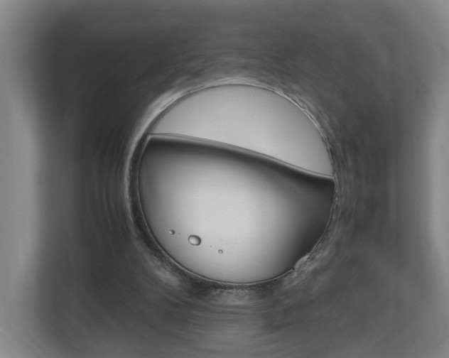 X0000110930104200906181204
