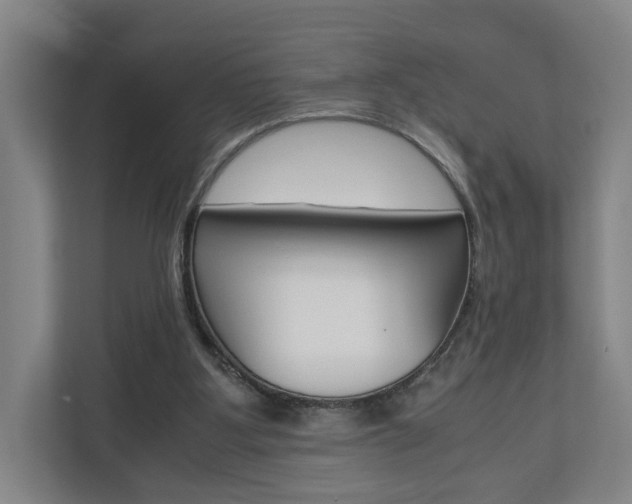 X0000110930107200906181204