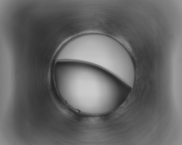 X0000110930108200906181204