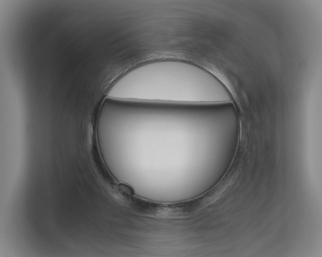 X0000110930109200906181204