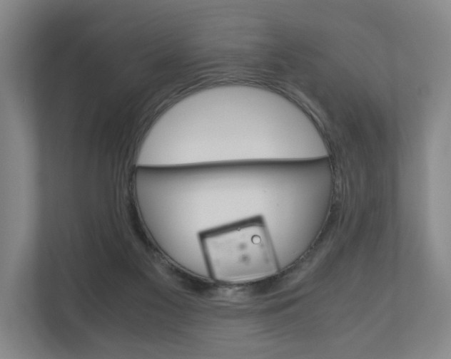 X0000110930117200906181204