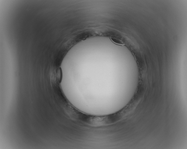 X0000110930129200906181203