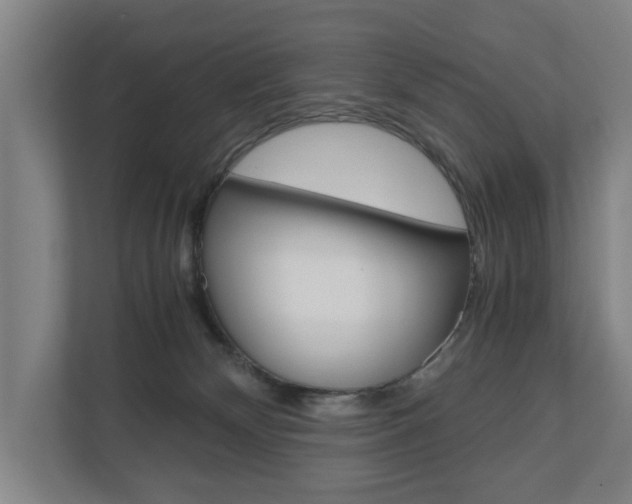 X0000110930132200906181203