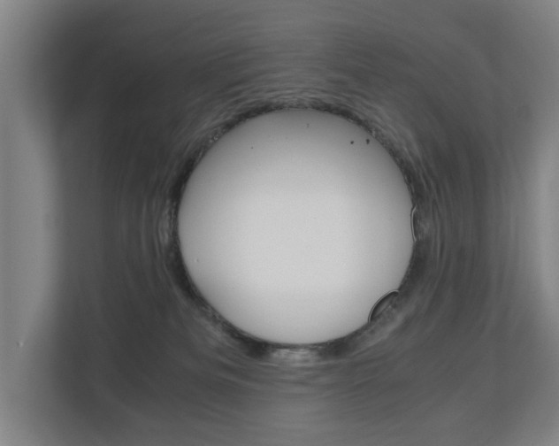 X0000110930133200906181203