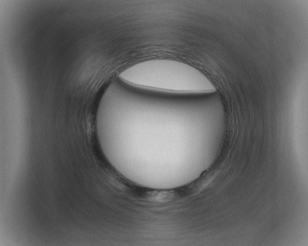 X0000110930135200906181203