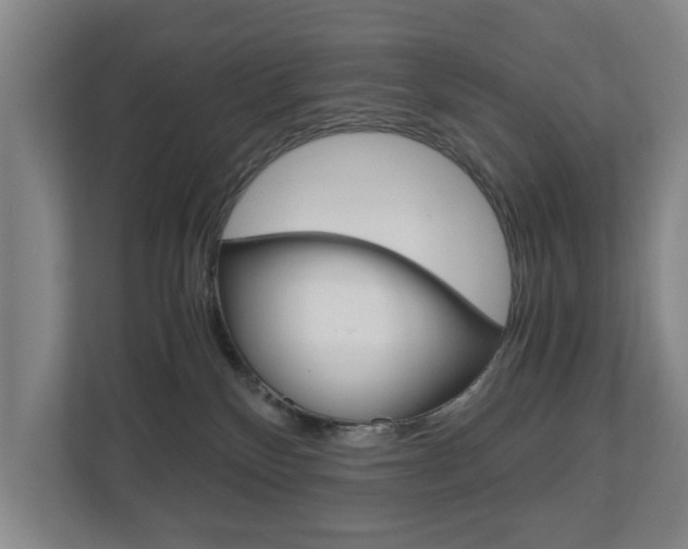 X0000110930136200906181203