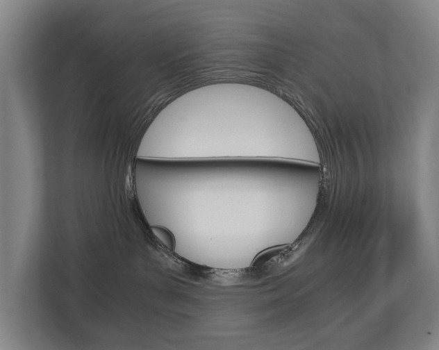 X0000110930143200906181203