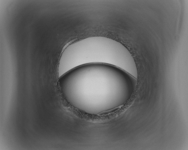 X0000110930144200906181203