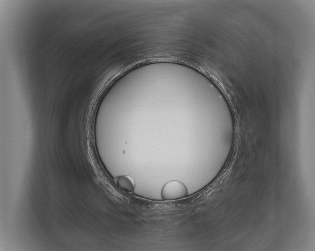 X0000110930145200906181203