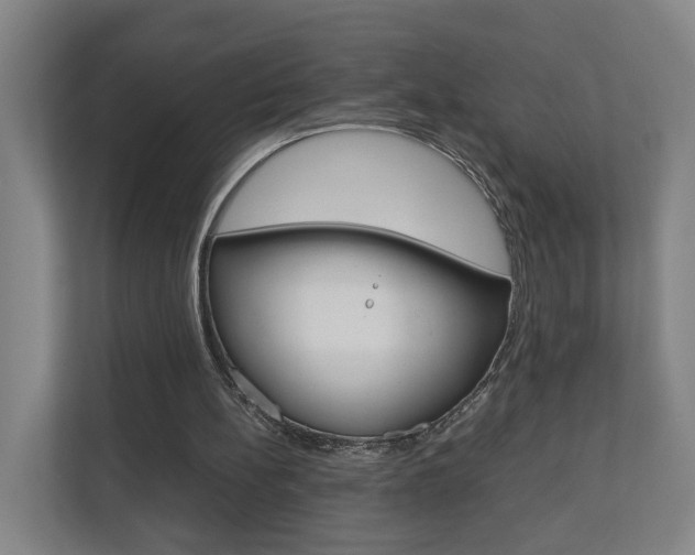X0000110930148200906181203