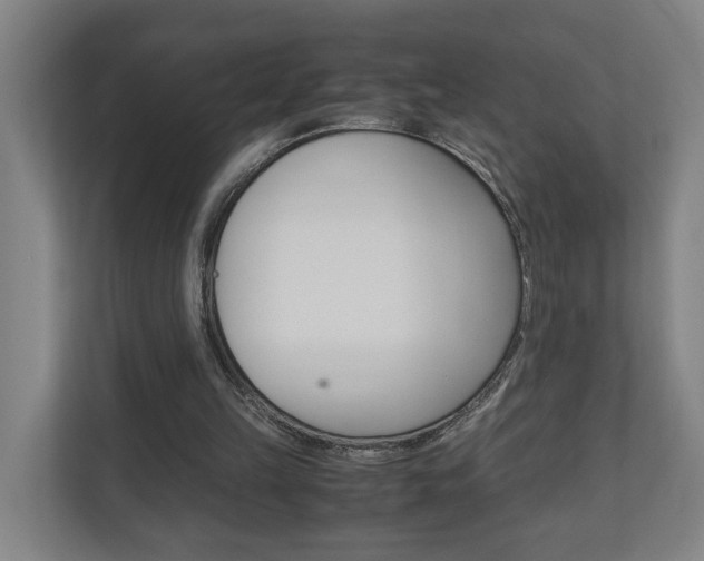 X0000110930149200906181203
