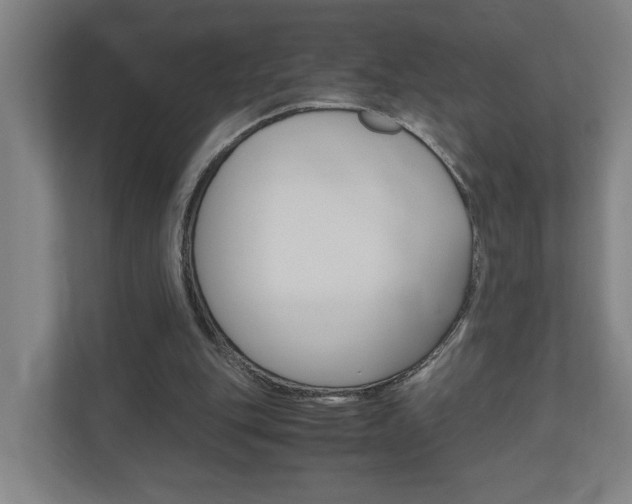 X0000110930151200906181203
