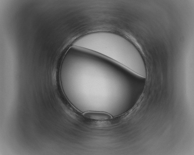 X0000110930154200906181203