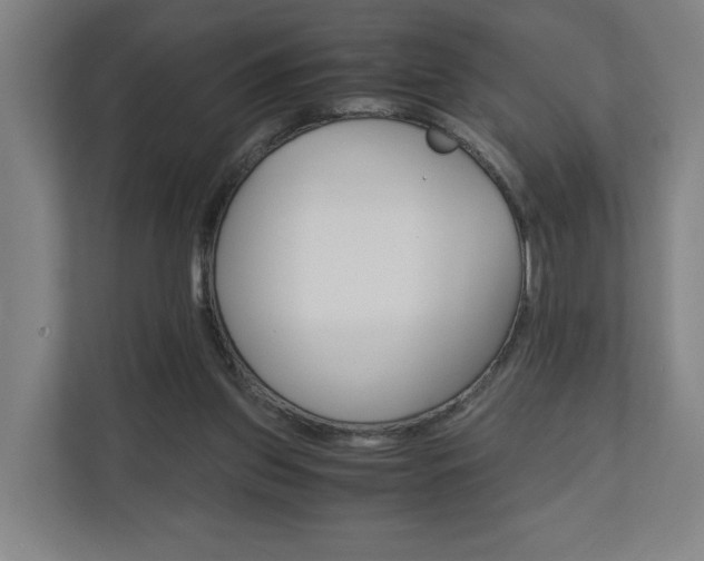 X0000110930157200906181203