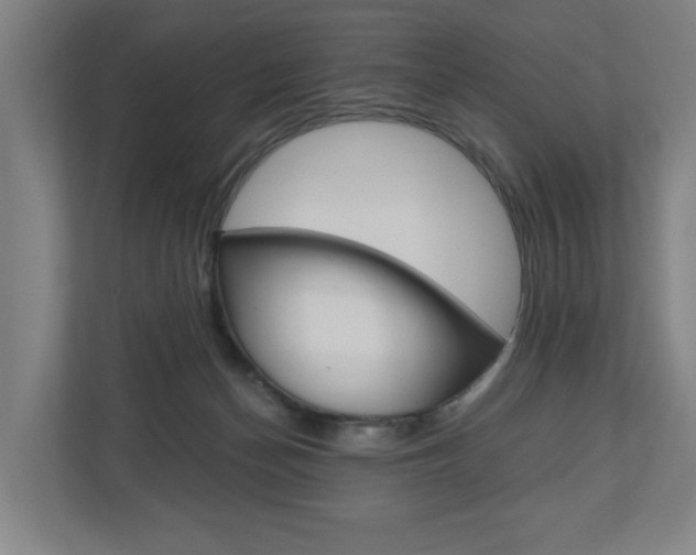 X0000110930174200906181203