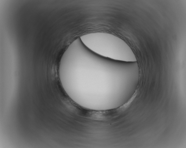 X0000110930182200906181203