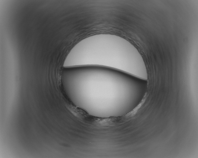 X0000110930186200906181203