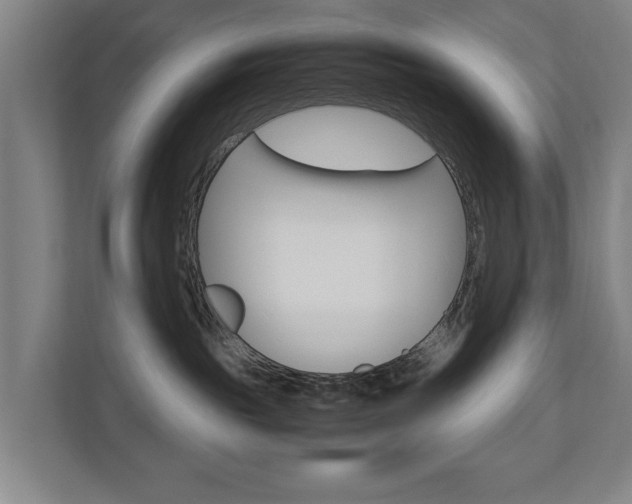 X0000110930189200906181203