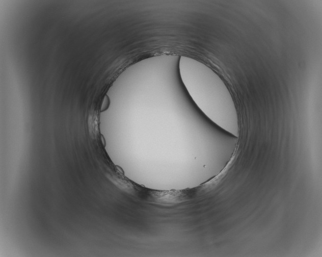 X0000110930191200906181203