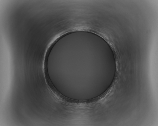 X0000110930196200906181203