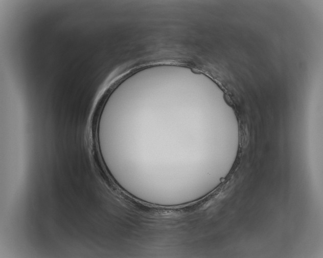 X0000110930198200906181203