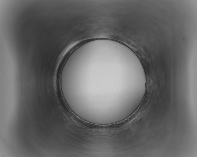X0000110930200200906181202