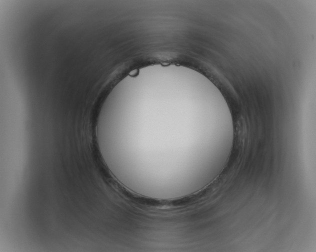X0000110930212200906181202