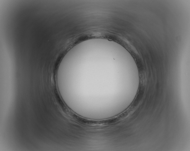 X0000110930213200906181202