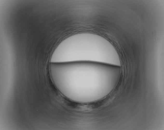X0000110930221200906181202